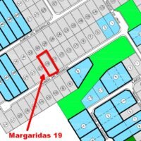 Santa Monica Margaridas 19