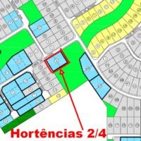Santa Monica Hortencias 2
