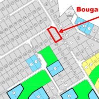 Santa Monica Bouganvilles 2