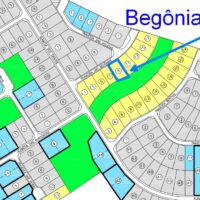 Santa Monica - begonias 9